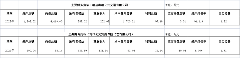 ?？诠患瘓F(tuán)及下屬各子公司2022年度信息公開(kāi)財(cái)務(wù)主要指標(biāo)明細(xì)2_副本.png